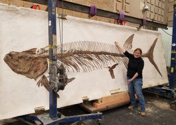 ‘운 좋은 날’…낚고 보니 9000만년 된 화석