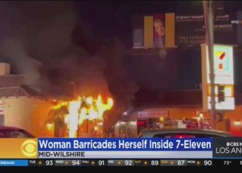 한인타운 인근 세븐일레븐서 여성고객 난동, 방화