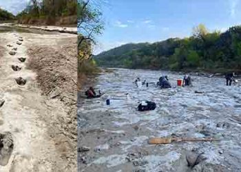가뭄이 드러낸 1억년전 텍사스 공룡 자취
