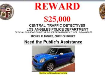 뺑소니 차량 수배.. 현상금 25,000달러(영상)