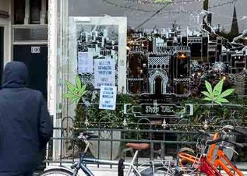 30세 미만 미국 성인 절반이 마리화나 사용