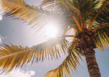 남가주 폭염 심상치 않다…일주일 내내 역대급 폭염경보 유지… 115도까지 치솟아