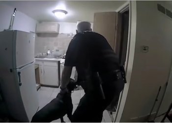 “전자담배, 총기 오인” 백인경찰, 흑인 사살(영상)