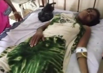 아들 구하려 호랑이와 맨손 사투 엄마…아들 살았지만