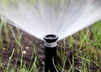 “잔디 뒤엎었는데…뭘 더 하나” 끝없는 절수요구 불만