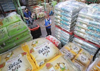 “쌀값 비상” 45년 만에 대폭락 왜…소비 ‘뚝’