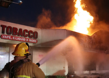 LA 스트립몰 대형 화재…펫호텔 고양이 17마리 떼죽음