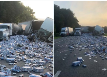 캔맥주 수천 상자 쏟아져 프리웨이 일시 폐쇄(영상)