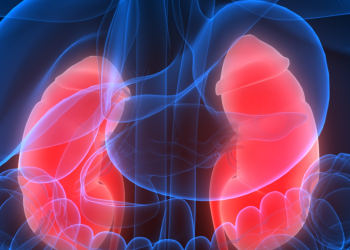 신장 건강, 소변 상태 보면 알 수 있다