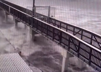 허리케인 IAN, 플로리다 상륙(영상)