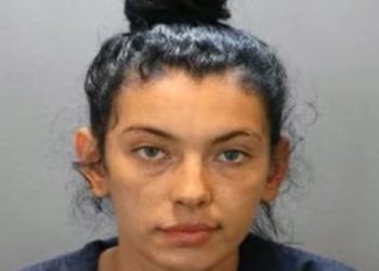 고양이 구한다며 차로 사람 치어 살해…피해자 현장 사망