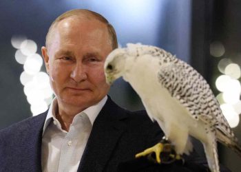 러, 우크라전 6개월 에너지 수입 1580억 유로 ‘더 많이 벌었다’