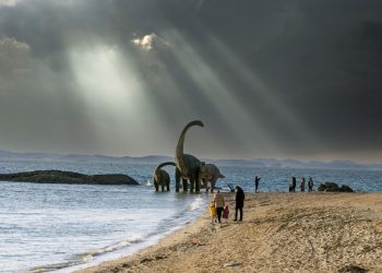 “올 가을에 보령이 부른다”…볼거리·먹거리 ‘풍성’