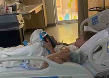 8살 아이 데이케어센터서 개물림 사고 중상