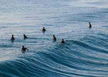 서핑 중 싹쓸이 절도..훔친 카드 8만달러 물 쓰듯