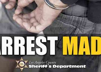 롤렌하이츠 할머니∙손녀 치고 도주..뺑소니범 체포