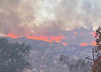 북가주 밀파이어, 남가주 페어뷰 산불 확산.. 2명 사망