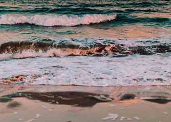 남가주 지역 해안, 8곳 입수 금지