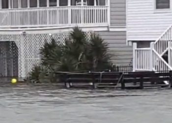 ‘허리케인 이언’ N 캐롤라이나 강타 사망자 속출