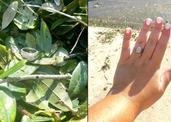 “잃어버린 약혼반지, 허리케인 ‘이안’ 지나간 자리서 되찾아”