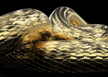 뉴욕 남성, 바지에 버마비단뱀 넣고 국경 밀반입 시도