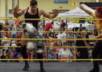 사람과 개, 프로레슬링 대결…캐나다 박람회장 ‘들썩'(영상)