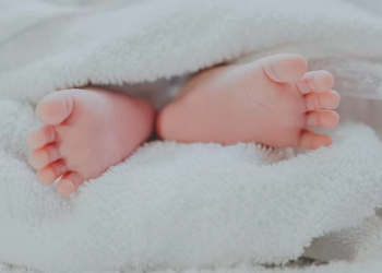 재택근무 확산에 미국 ‘미니 베이비붐’…7년만 출산율 반등