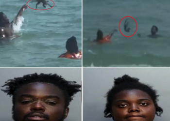 새끼 고양이로 공놀이 흑인커플 체포 “막고 싶으면 돈내라”