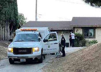 기르던 개 6 마리, 주인과 딸 동시 공격…사우전옥스