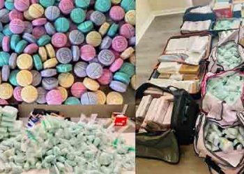 할로윈 캔디 먹기 전 반드시 확인하세요