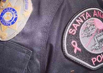 차 안에 배변했다고 반려견 죽인 어바인 남성 체포