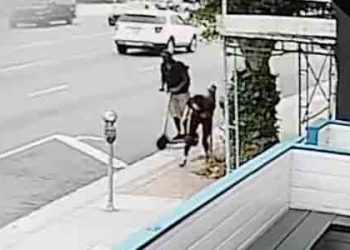 LA, 안전지대는 없다. 길 가던 여성에게 이유없이 소화기 던져 뇌진탕