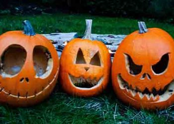 핼로윈사용 ‘잭 오 랜턴’… 어찌 할까요??