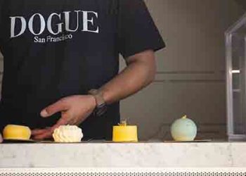 애완견 한마리 식사가격 75달러..SF에 개 전용 레스토랑 오픈