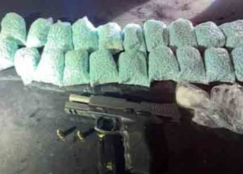 수상한 차량 검문 한차례, 펜타닐 수만정 쏟아져