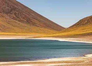 2살 딸 호수에서 살해 시도 비정한 아빠 체포