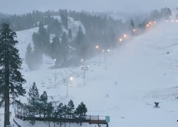 성큼 다가온 겨울, 남가주 첫 눈 왔다(영상)