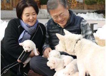 문재인 북한서 받은 풍산개 파양..사료비 때문?