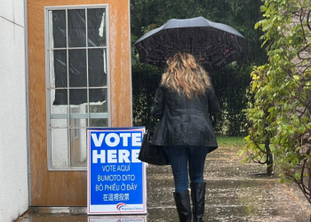 중간선거 투표율 50% 넘는다…1억2천만명 투표 전망