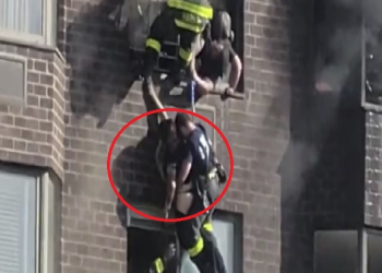 37층 건물 화재..창문에 매달린 여성 극적 구조(영상)