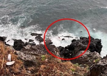 치매 80대 친어머니 절벽서 차량 추락시켜 살해