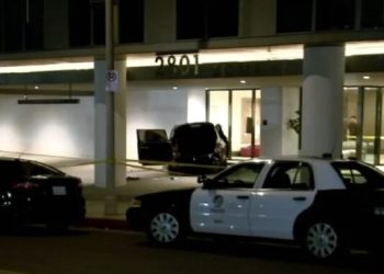 한인타운서 조선왕실 후손 롤스로이스 차량 총격피습..남성1명 중태, 롤렉스 강탈