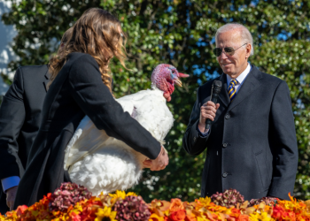 추수감사절 칠면조 사면…”선거부정 없다”(영상)