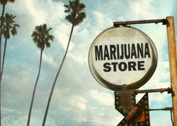 “담배는 나쁜데 마리화나는 좋다”모순…WSJ 사설로 비판