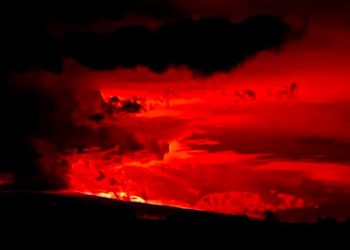 하와이 마우나 로아 화산 분화…38년 만에 용암 분출