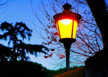 미리엄-웹스터 올해의 단어에 ‘가스라이팅’