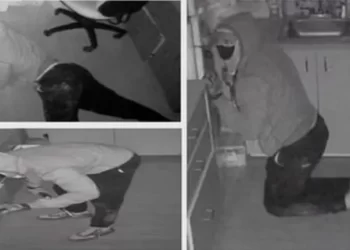 지렛대 들고 병원 침입, 아이패드 싹쓸이 절도..웨스트레이크 빌리지