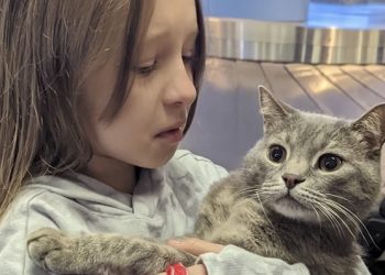 우크라 생이별 소녀와 고양이…캘리포니아서 눈물겨운 재회