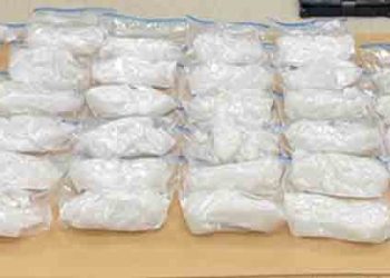 폰타나서 메탐페타민 차량 운반 10대 적발