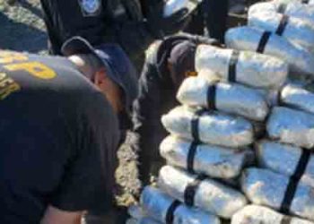 국경 넘던 열차서 215파운드 마약 적발 압수